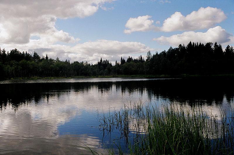 Фото жизнь (light) - penya - корневой каталог - Озеро 