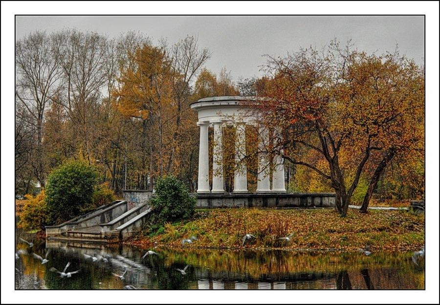 Фото жизнь