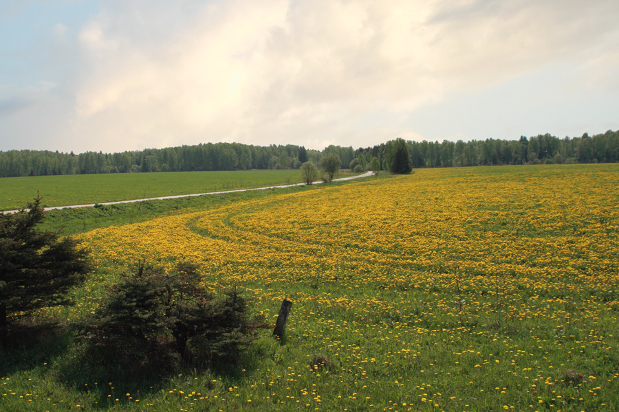 Фото жизнь (light) - Akela - Широка страна моя.... - Где-то под Калугой