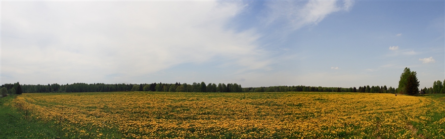 Фото жизнь (light) - Akela - Широка страна моя.... - Где-то под Калугой1