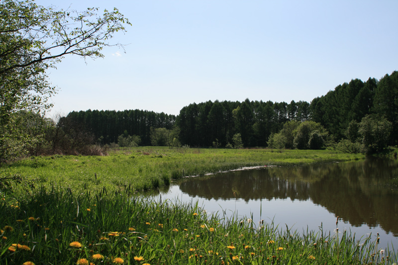 Фото жизнь (light) - Akela - Широка страна моя.... - ***
