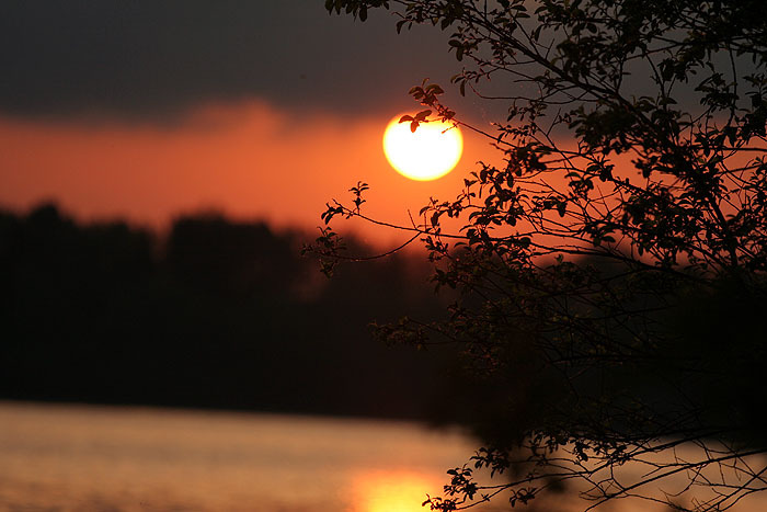 sun
