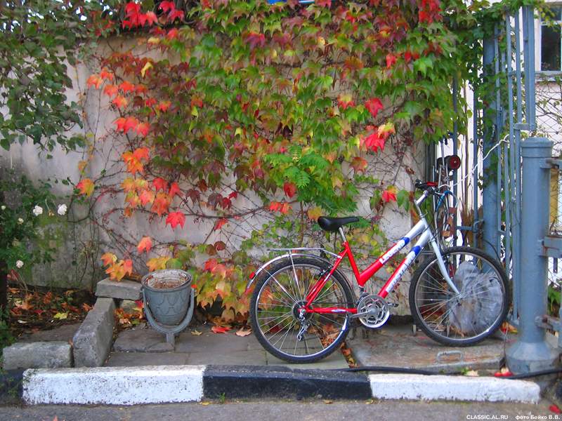 Фото жизнь (light) - stan - корневой каталог - осенний велосипед