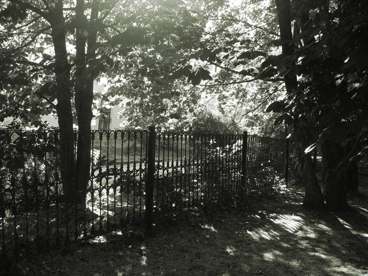 Фото жизнь (light) - Oleg Haslavsky - корневой каталог - Пейзаж