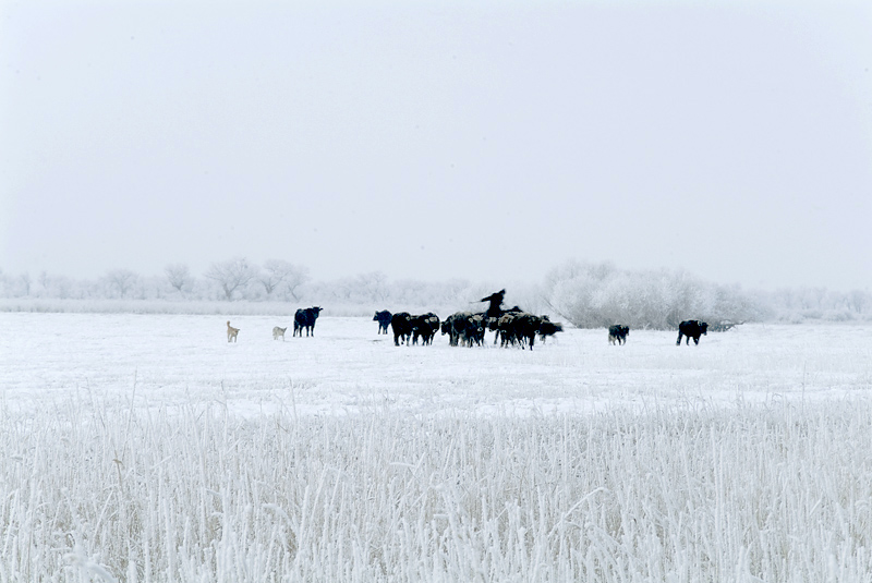 Фото жизнь (light) - xincheng - ПЕЙЗАЖ - зима