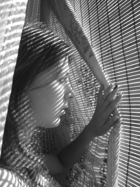 Фото жизнь (light) - Dukan - корневой каталог - Лето