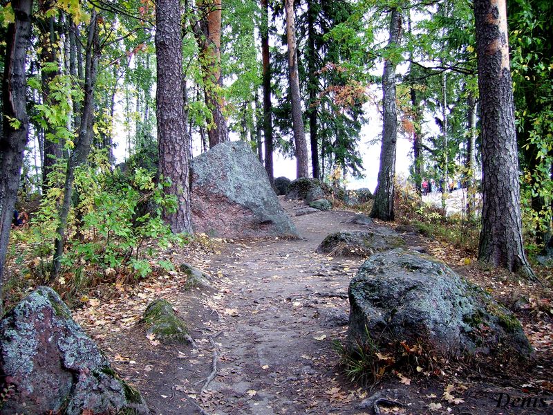 Фото жизнь (light) - Башин Денис - природа - парк Mon Repos