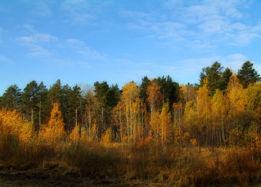 Фото жизнь