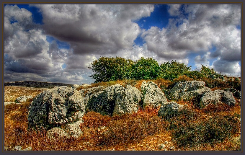 Фото жизнь (light) - Jurshevich Gennadi - корневой каталог - И на камнях растут деревья