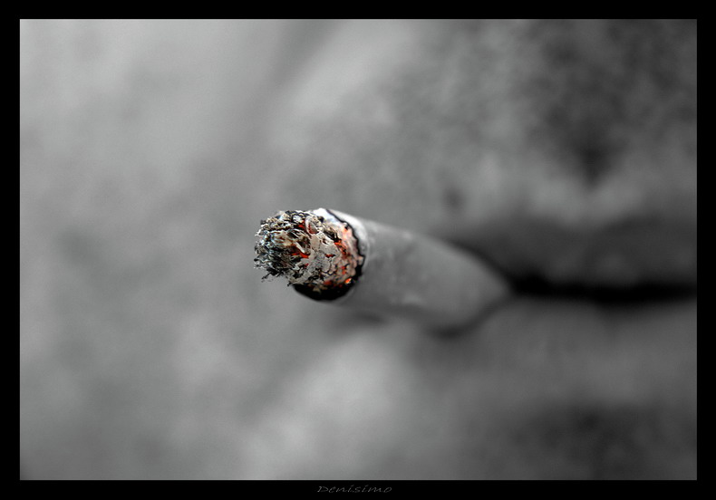 Фото жизнь (light) - spider238 - Creative & Abstrakt - Smoke