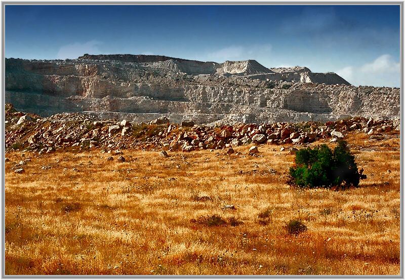 Фото жизнь (light) - Jurshevich Gennadi - корневой каталог - В о поле дерево стояло