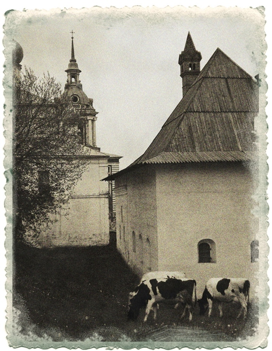 Фото жизнь