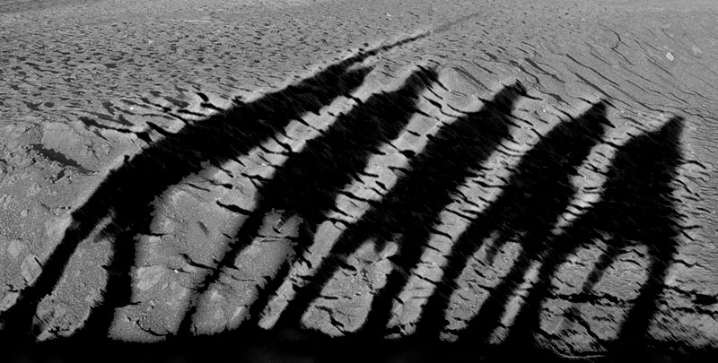 Фото жизнь (light) - Lacrise - black & white  - Эволиция мужиков 