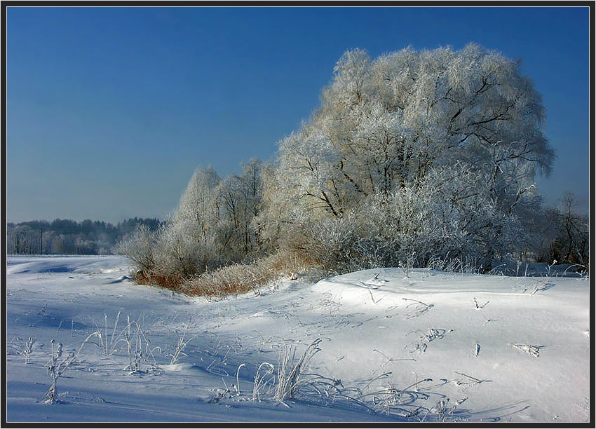Фото жизнь - Anastasiya - корневой каталог - Зимняя пора