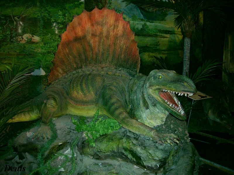 Фото жизнь (light) - Башин Денис - мир динозавров - мир динозавров