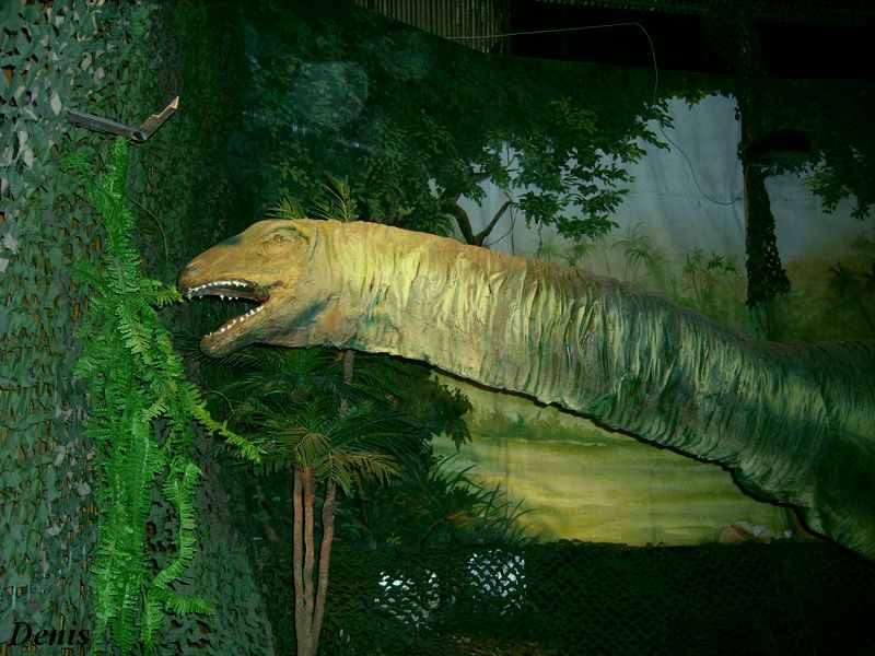 Фото жизнь - Башин Денис - мир динозавров - мир динозавров