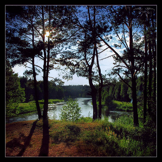 Фото жизнь (light) - Светлана Бескровная - природа Беларуси - Краски лета