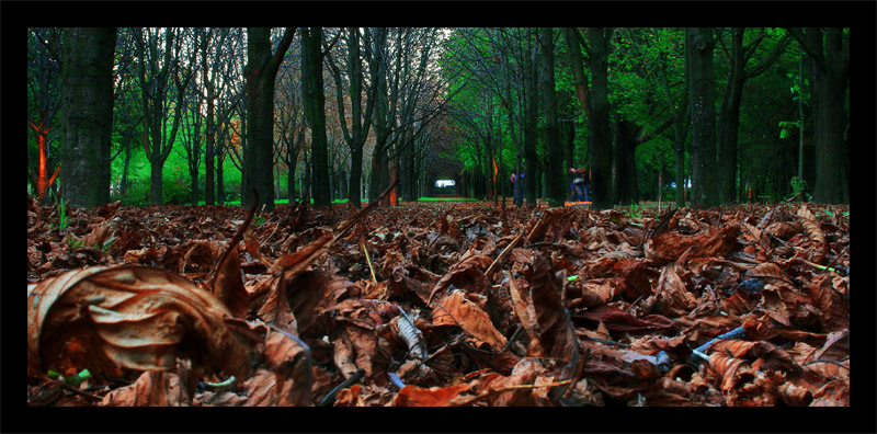 Фото жизнь (light) - Балобанов Максим - корневой каталог - Осень, аллея...