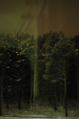 Фото жизнь (light) - mamonti - у природы нет плохой погоды... - каменные джунгли