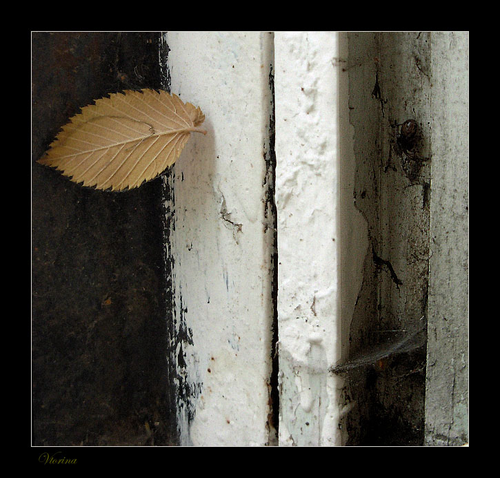 Фото жизнь (light) - Vtorina - Проба натюрморта )) - Осень в старухином окне