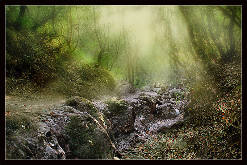 Фото жизнь (light) - EddiGer - корневой каталог - Высохший ручей.... 
