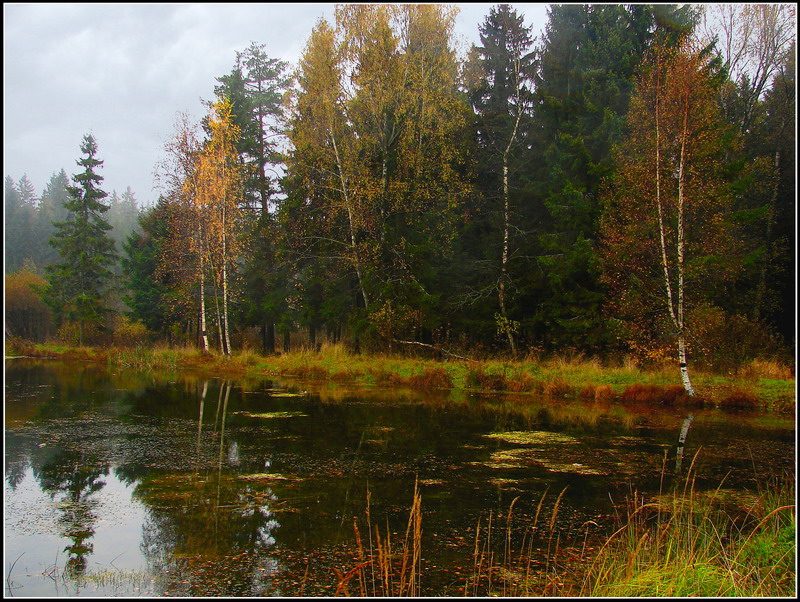 Фото жизнь (light) - Lenoch - Осень - "Аленушкин" прудик в октябре.