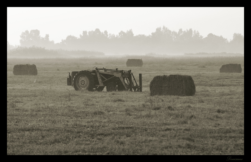 Фото жизнь (light) - spider238 - Landscape - Calm in a fog