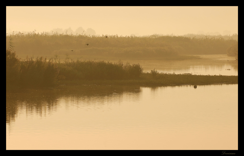 Фото жизнь (light) - spider238 - Landscape - Autumn gold