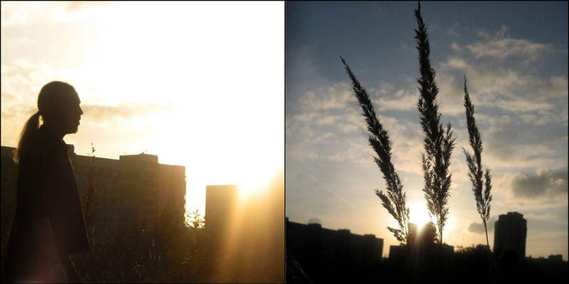 Фото жизнь (light) - eleanor - живое - а впереди заходящее солнце