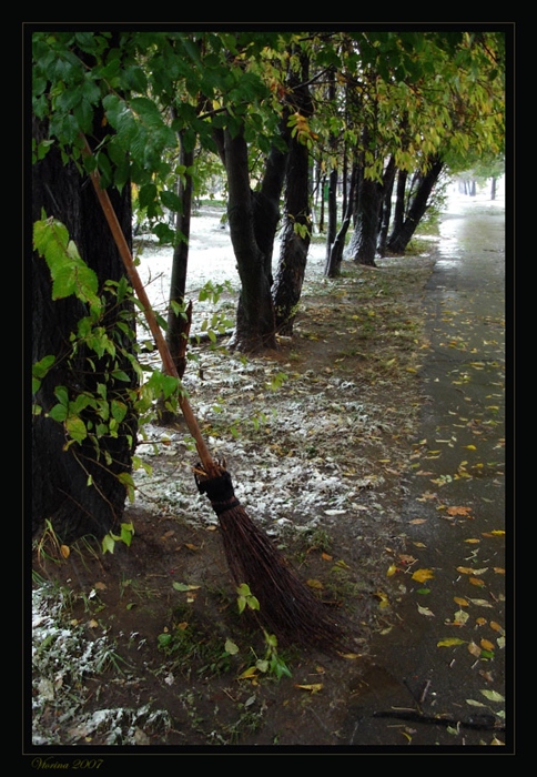 Фото жизнь