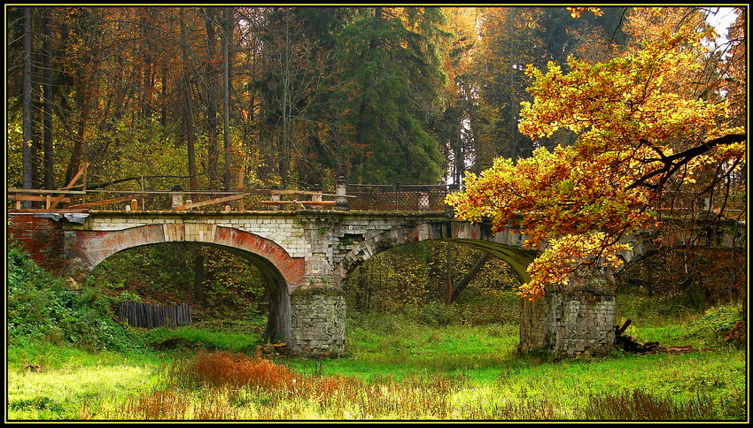 Фото жизнь (light) - Lenoch - Осень - Старый мост