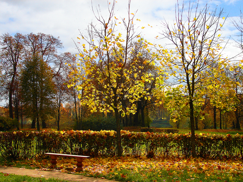 Фото жизнь (light) - Lenoch - Осень - Осень в парке...