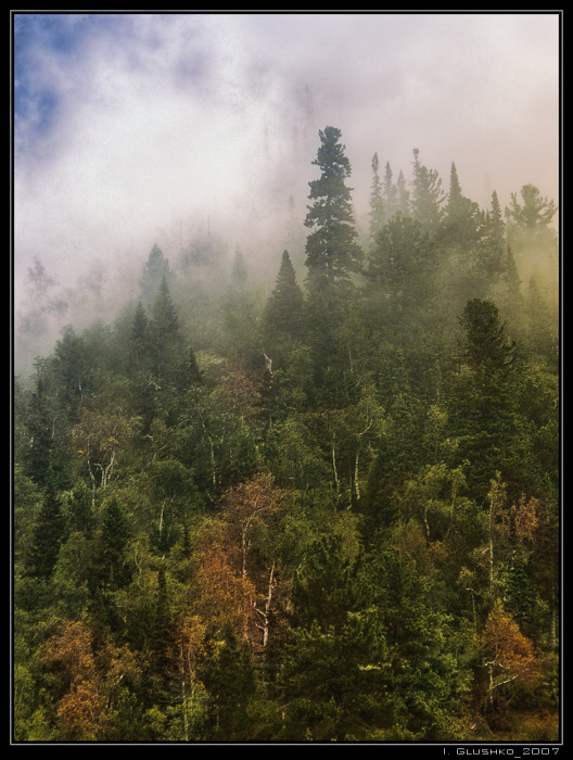 Фото жизнь - Igor Glushko - корневой каталог - Таежный Туман