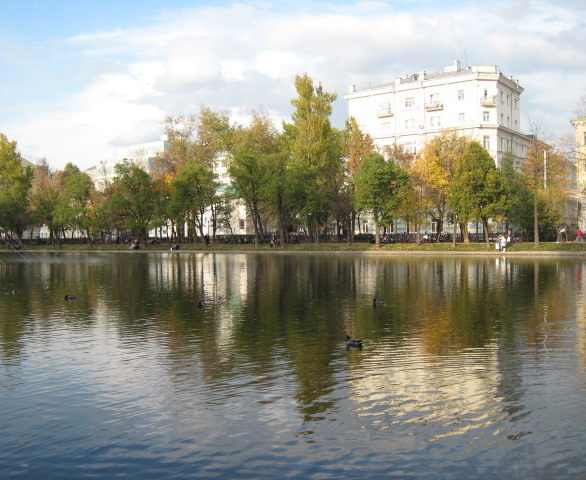 Фото жизнь (light) - pantera999 - корневой каталог - пруды...чистые