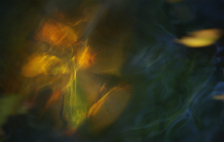 Фото жизнь (light) - Akel - природа и путишествия - Запах осени