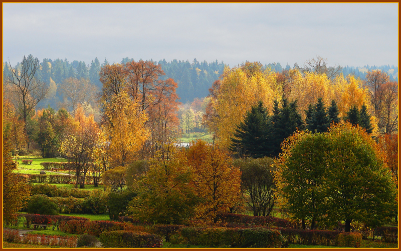 Фото жизнь - Lenoch - Осень - Золотая осень в парке