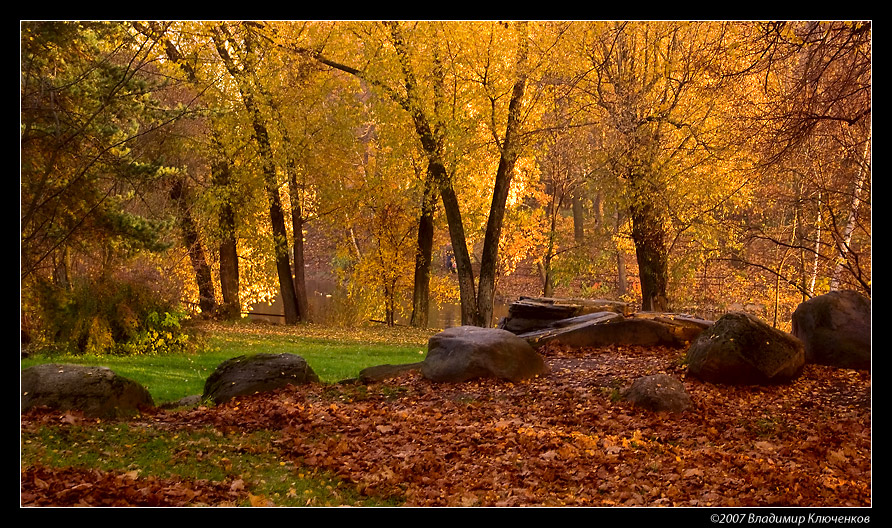 Фото жизнь (light) - bizzon - корневой каталог - ***