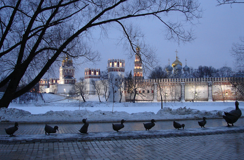 Фото жизнь (light) - Lenoch - Москва - Утиное семейство Новодевичьего монастыря
