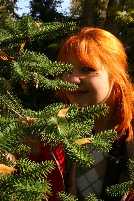 Вот она. Осень золотая