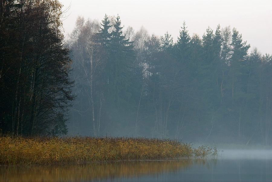Фото жизнь (light) - elvistudio - корневой каталог - Ранним утром на озере