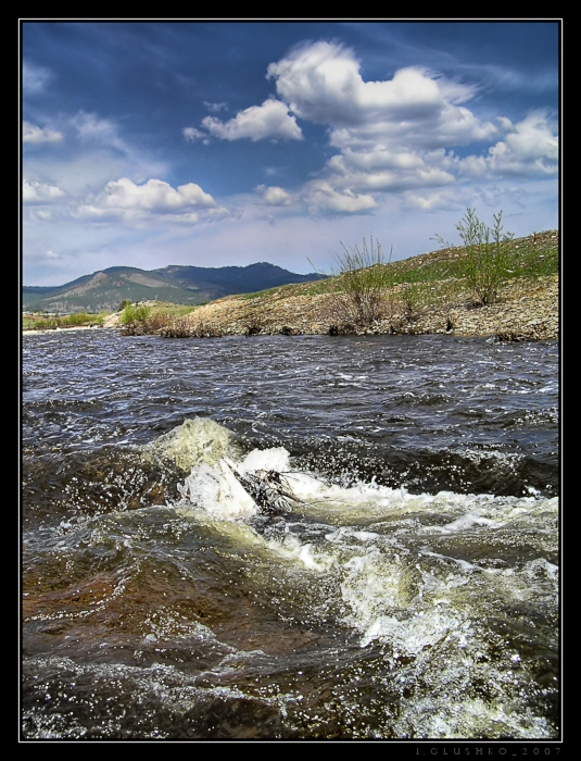 Фото жизнь