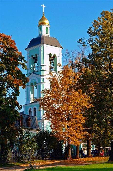 Фото жизнь
