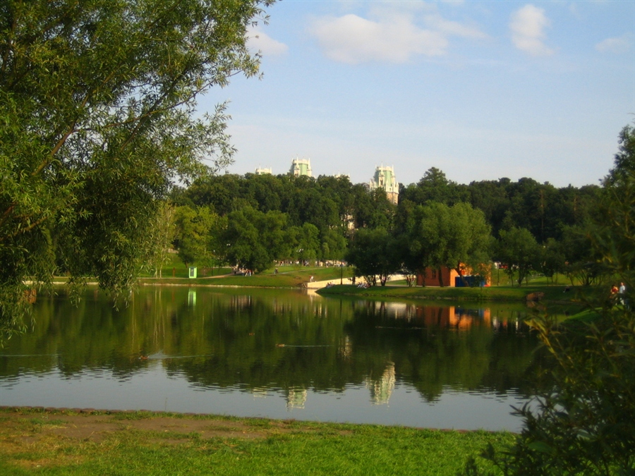 Фото жизнь