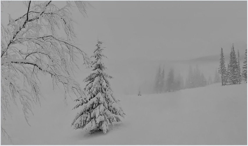 Фото жизнь (light) - Liyan - корневой каталог - зима в горах