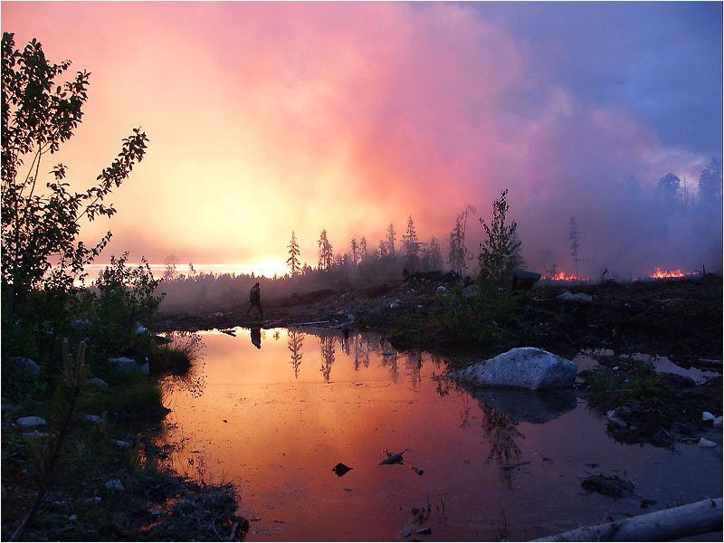 Фото жизнь - Борис Босарев - корневой каталог - Лесной пожар