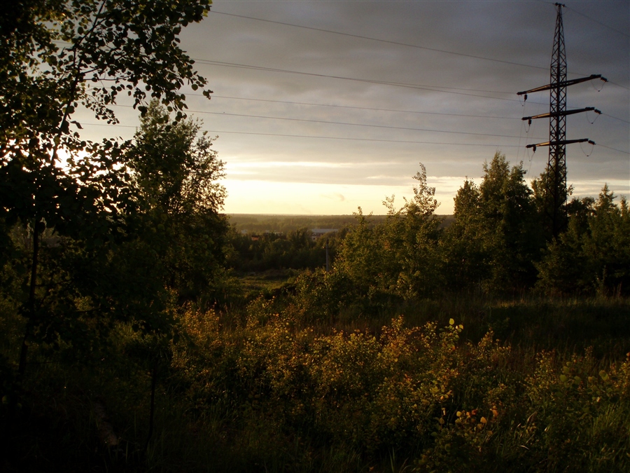 Фото жизнь