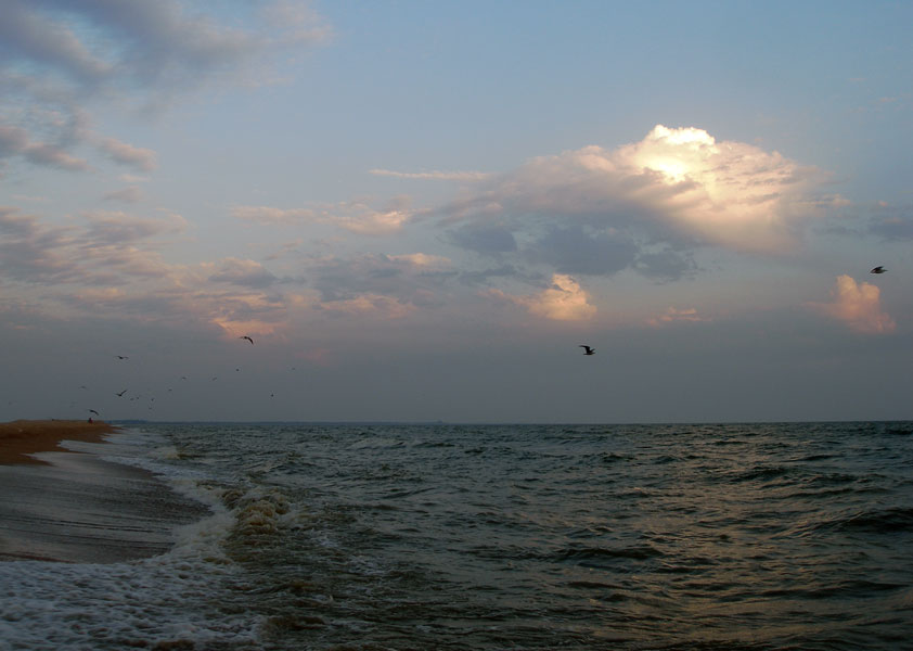 Фото жизнь (light) - zalna - Мир вокруг... - Просто море, просто птицы... и покой...