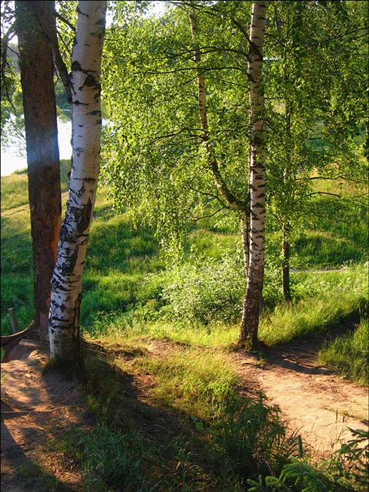 Фото жизнь