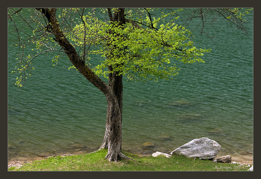 Фото жизнь - Жанна Кучера - Кавказские Минеральные Воды - зеленый-презеленый пейзаж