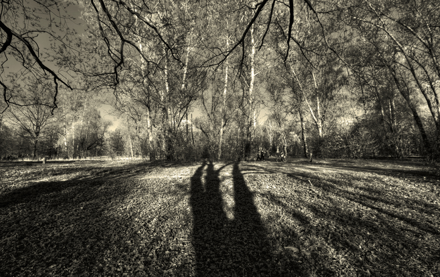 Фото жизнь (light) - римма мурзилина - корневой каталог - злые тени